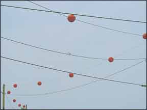 OrangeBalls 1