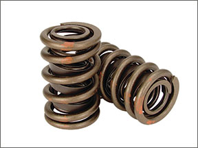 ValveSprings 1