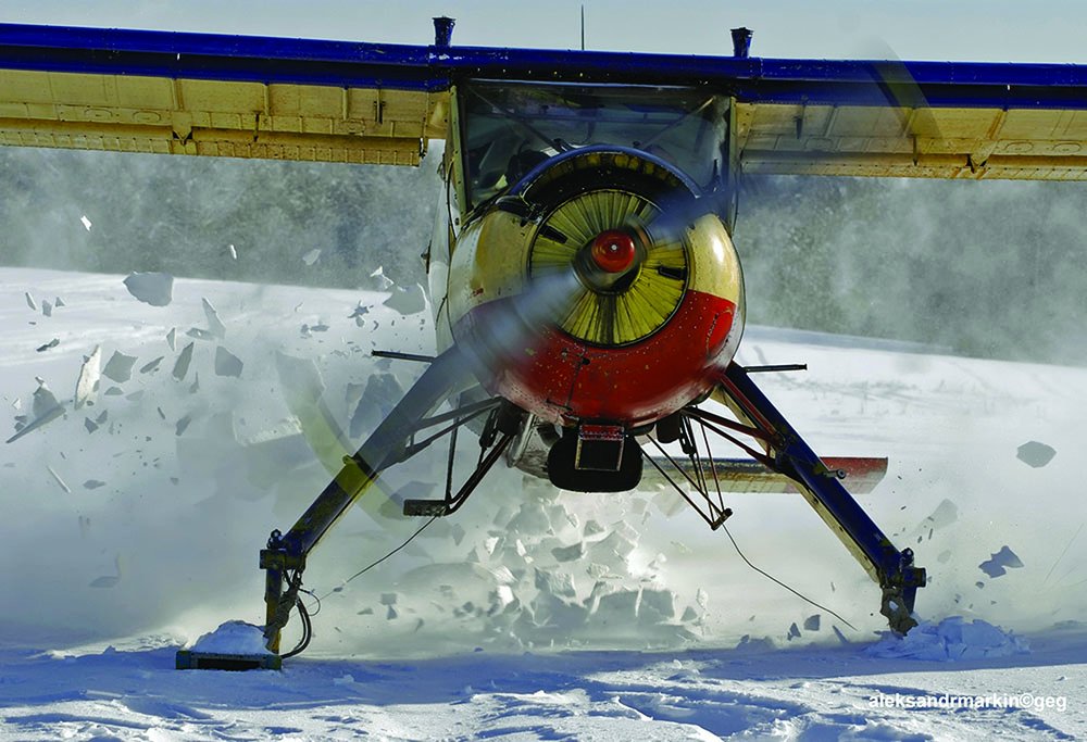 Wilga on skis
