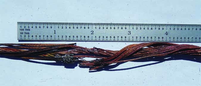 burned aircraft wiring