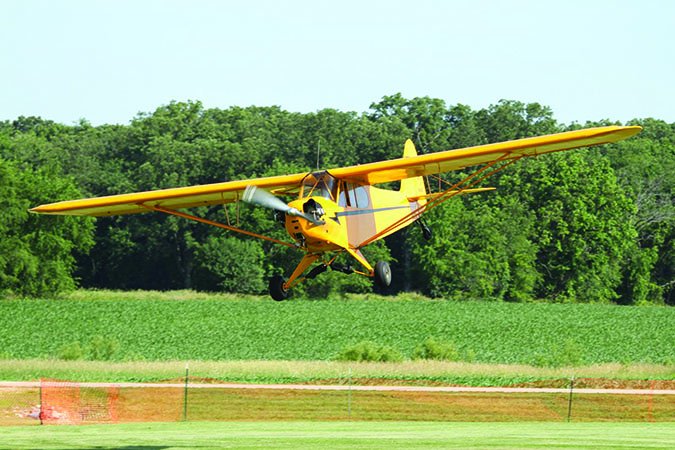 Yellow Cub Landing Bank