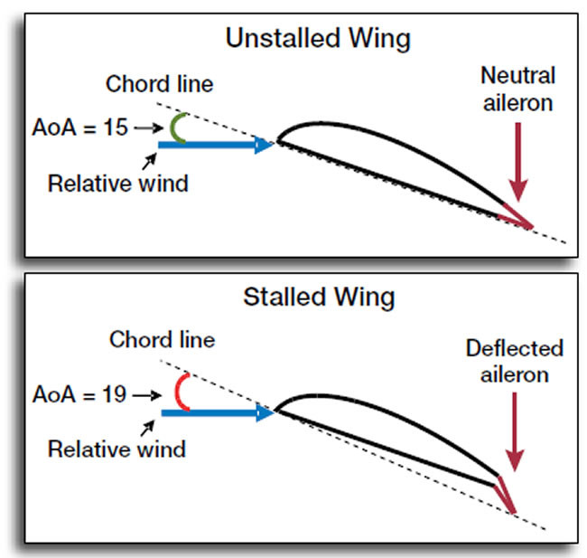 wings