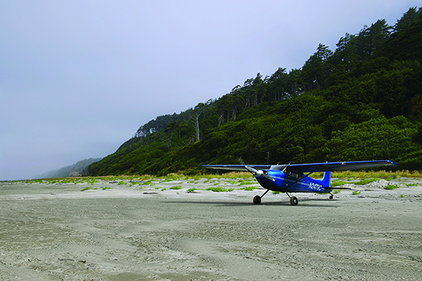 Cessna180_Beach_1W1A4841_Hart