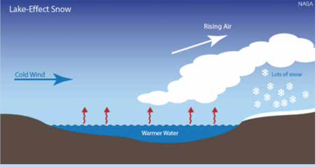 Screen Shot 2022 05 20 at 8.37.11 PM